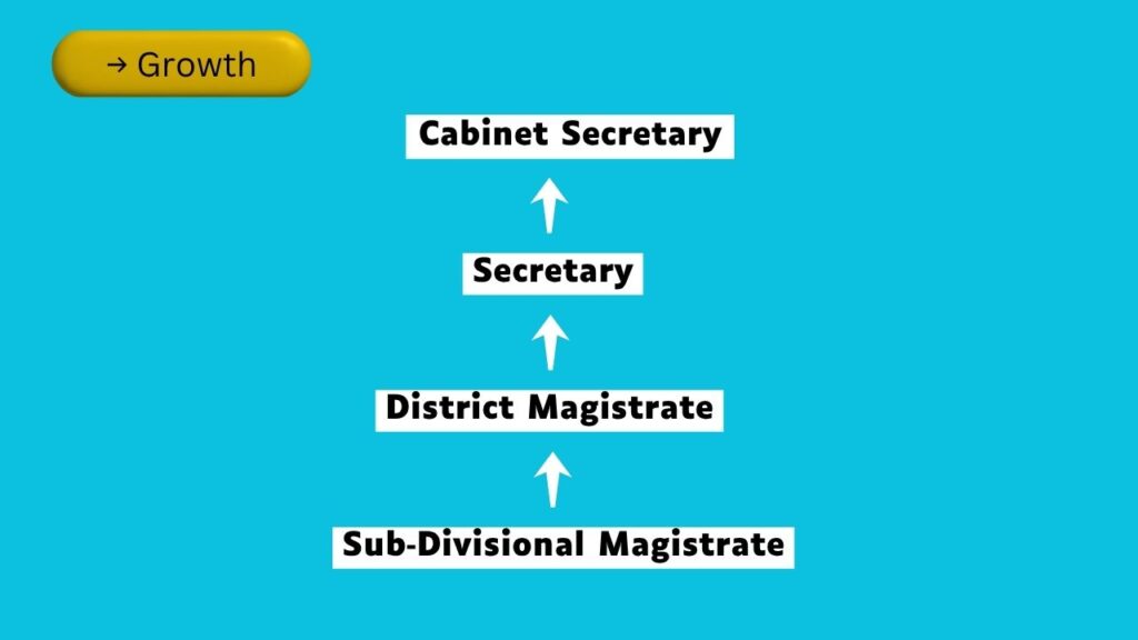 IAS Officer