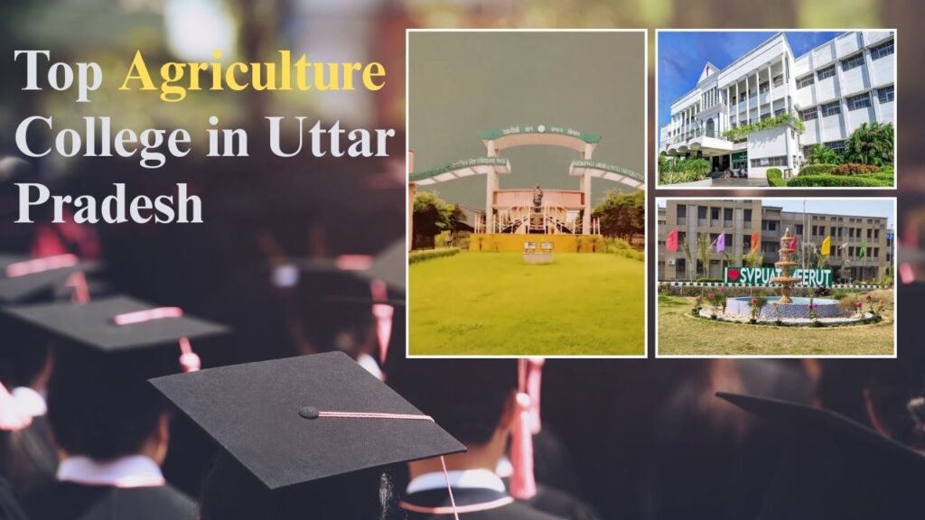 Top Agriculture College in Uttar Pradesh